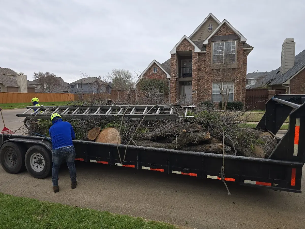 Expert Tree Fertilization with proper safety equipment in Barney